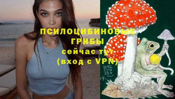 мяу мяу кристалл Магас