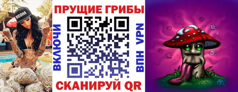 Псилоцибиновые грибы Psilocybine cubensis  купить  сайты  Ельня 